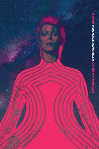 Moonage Daydream - Posters