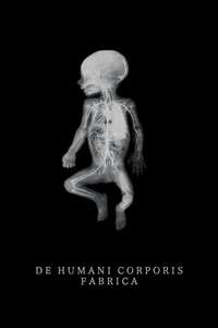 De Humani Corporis Fabrica - Poster