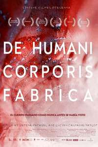De Humani Corporis Fabrica - Poster
