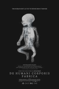 De Humani Corporis Fabrica - Poster