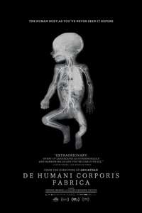 De Humani Corporis Fabrica - Poster