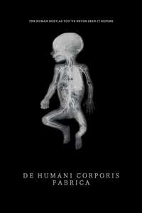 De Humani Corporis Fabrica - Poster