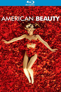 American Beauty - Poster