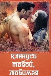 Sanam Teri Kasam - Posters