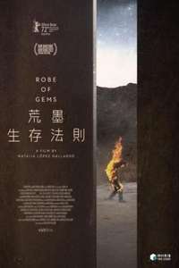 Robe of Gems - Poster