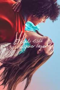 The Sky Is Everywhere - Poster