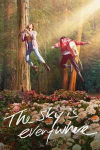 The Sky Is Everywhere - Poster