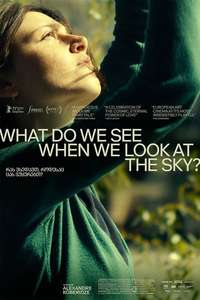What Do We See When We Look at the Sky? - Poster