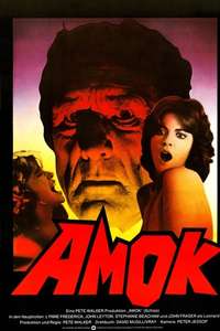 Schizo - Poster