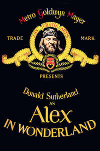 Alex in Wonderland - Posters