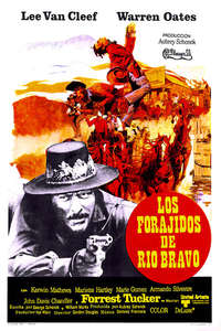Barquero - Poster