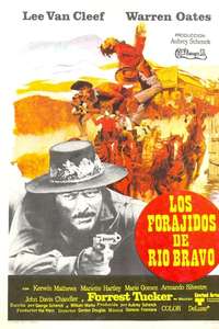 Barquero - Poster