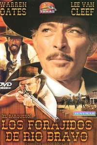 Barquero - Poster