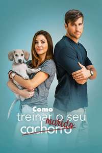 How to Train Your Husband or (How to Pick Your Second Husband First) - Poster