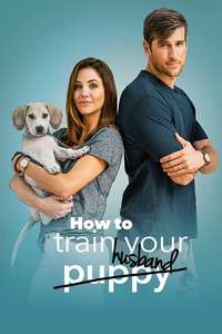 How to Train Your Husband or (How to Pick Your Second Husband First) - Poster