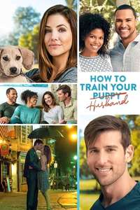 How to Train Your Husband or (How to Pick Your Second Husband First) - Poster