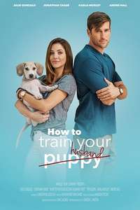 How to Train Your Husband or (How to Pick Your Second Husband First) - Poster