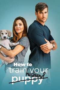 How to Train Your Husband or (How to Pick Your Second Husband First) - Poster