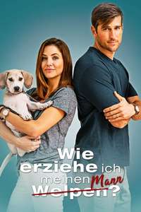 How to Train Your Husband or (How to Pick Your Second Husband First) - Poster