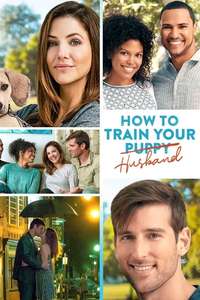 How to Train Your Husband or (How to Pick Your Second Husband First) - Poster