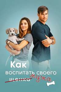 How to Train Your Husband or (How to Pick Your Second Husband First) - Poster