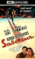 Saboteur
