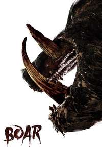 Boar - Poster