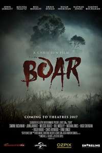 Boar - Poster