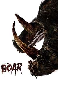 Boar - Poster