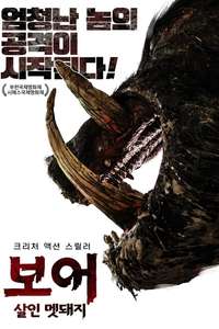 Boar - Poster