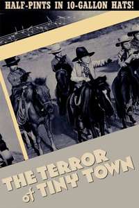 The Terror of Tiny Town - Posters