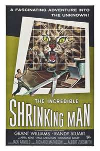 The Incredible Shrinking Man - Poster