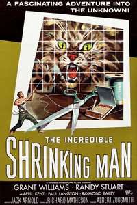 The Incredible Shrinking Man - Poster
