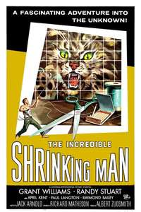 The Incredible Shrinking Man - Poster