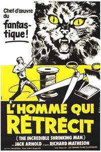The Incredible Shrinking Man - Poster