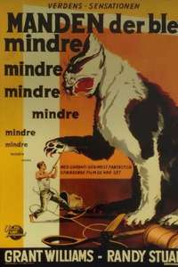 The Incredible Shrinking Man - Poster