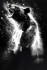 Cocaine Bear - Poster
