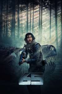 65 - Poster