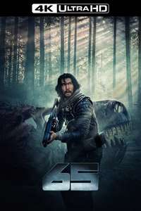 65 - Poster