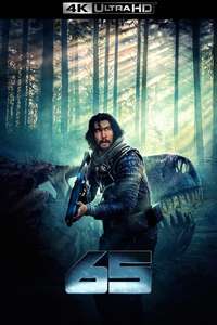 65 - Poster