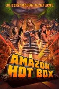 Amazon Hot Box - Poster