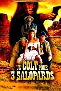 Hannie Caulder - Poster