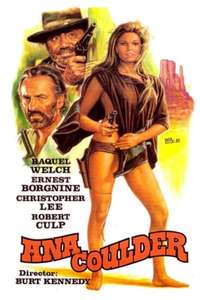 Hannie Caulder - Poster