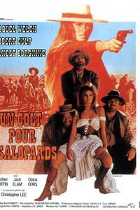 Hannie Caulder - Poster