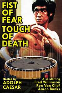 Fist of Fear  Touch of Death - Poster