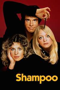 Shampoo - Poster