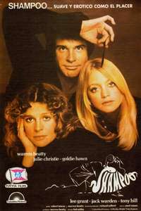 Shampoo - Poster