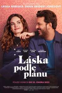 What's Love Got to Do with It? - Poster