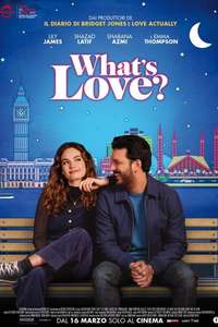 What's Love Got to Do with It? - Poster