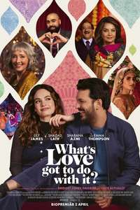 What's Love Got to Do with It? - Poster